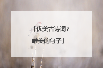 优美古诗词?唯美的句子