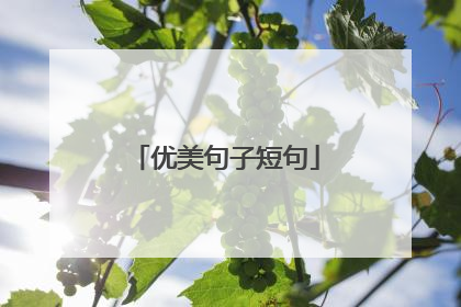 优美句子短句