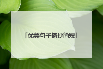 优美句子摘抄简短