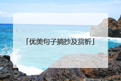 优美句子摘抄及赏析