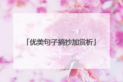 优美句子摘抄加赏析
