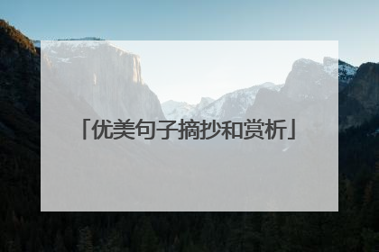 优美句子摘抄和赏析