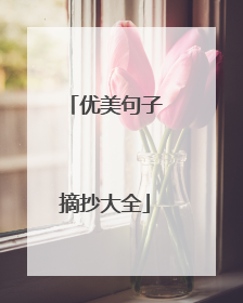 优美句子摘抄大全