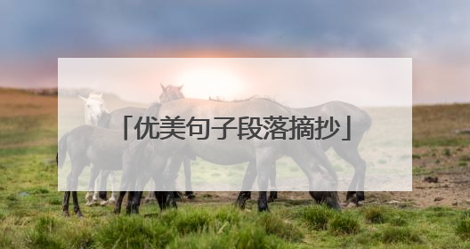 优美句子段落摘抄