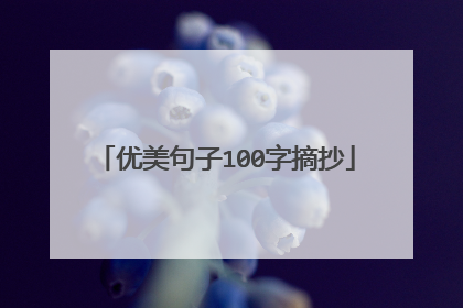 优美句子100字摘抄