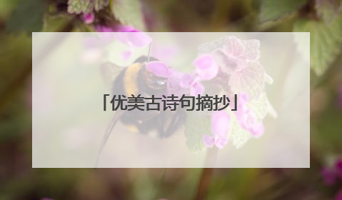 优美古诗句摘抄