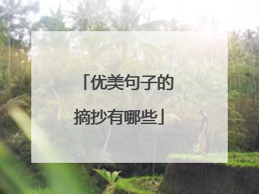 优美句子的摘抄有哪些