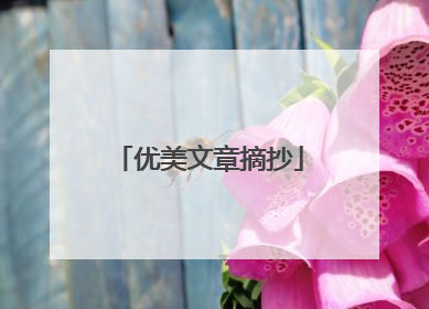 优美文章摘抄