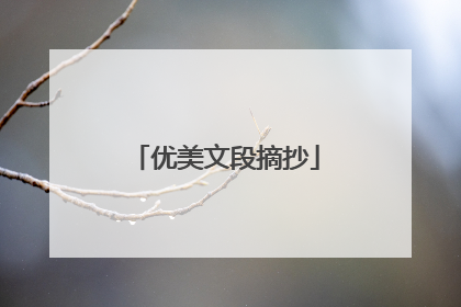 优美文段摘抄