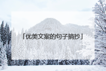 优美文案的句子摘抄