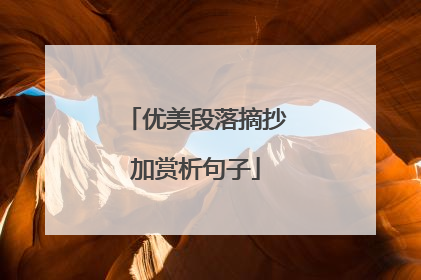 优美段落摘抄加赏析句子