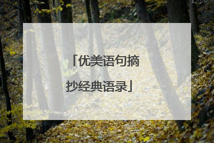 优美语句摘抄经典语录