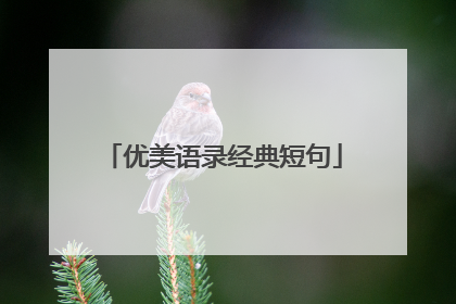 优美语录经典短句