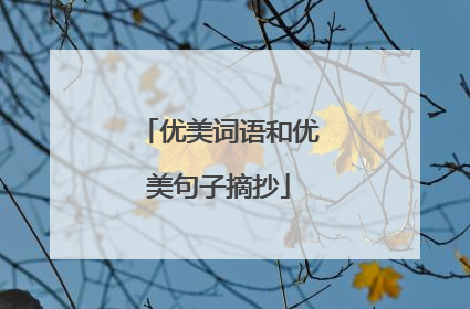 优美词语和优美句子摘抄