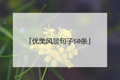 优美风景句子50条