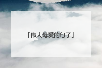 伟大母爱的句子