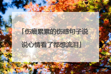 伤痕累累的伤感句子说说心情看了都想流泪