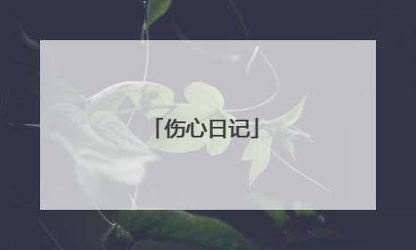 伤心日记