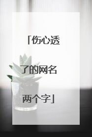 伤心透了的网名两个字