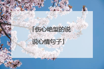 伤心绝望的说说心情句子