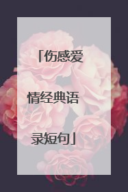 伤感爱情经典语录短句