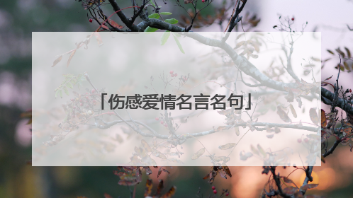 伤感爱情名言名句