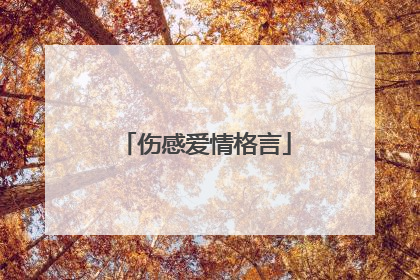 伤感爱情格言