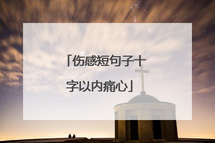 伤感短句子十字以内痛心