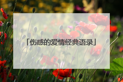 伤感的爱情经典语录