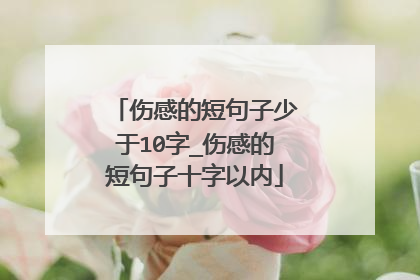 伤感的短句子少于10字_伤感的短句子十字以内
