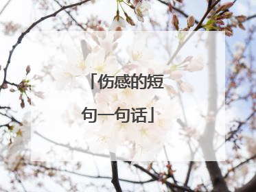 伤感的短句一句话