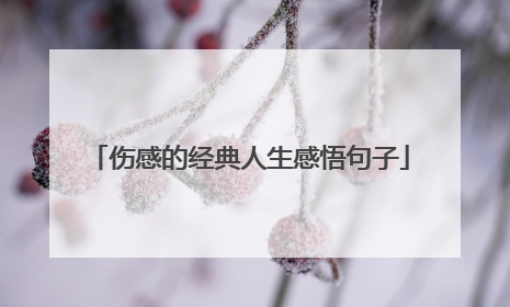 伤感的经典人生感悟句子
