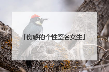 伤感的个性签名女生