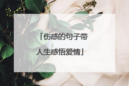 伤感的句子带人生感悟爱情