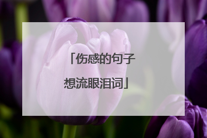 伤感的句子想流眼泪词