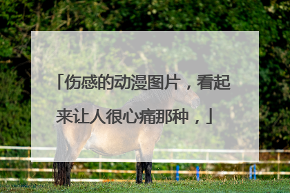 伤感的动漫图片，看起来让人很心痛那种，
