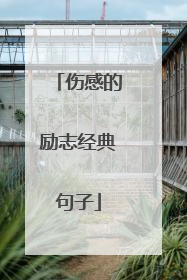 伤感的励志经典句子