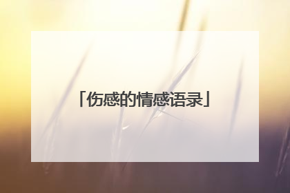 伤感的情感语录