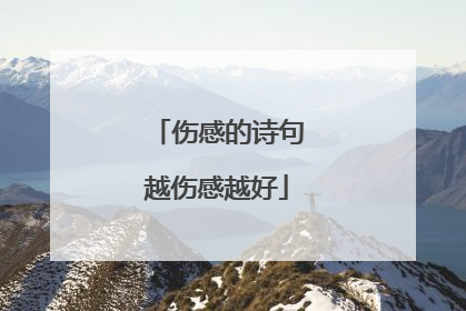 伤感的诗句越伤感越好