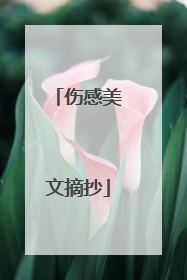 伤感美文摘抄