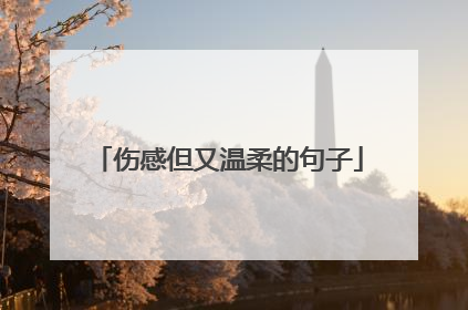 伤感但又温柔的句子