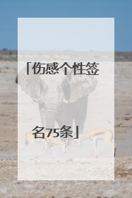 伤感个性签名75条