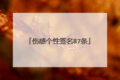 伤感个性签名87条