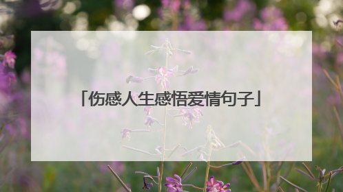 伤感人生感悟爱情句子
