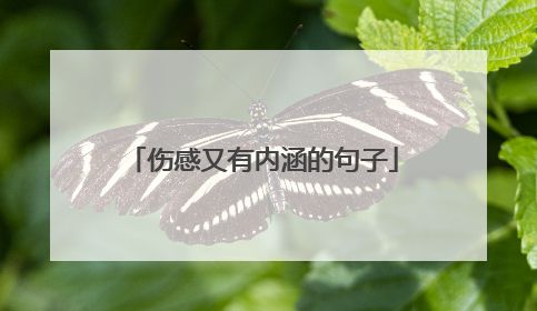 伤感又有内涵的句子