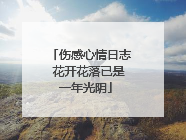 伤感心情日志 花开花落已是一年光阴