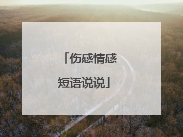 伤感情感短语说说