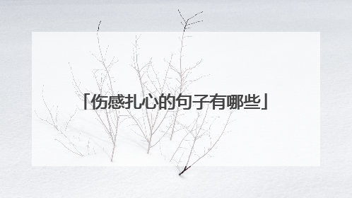 伤感扎心的句子有哪些