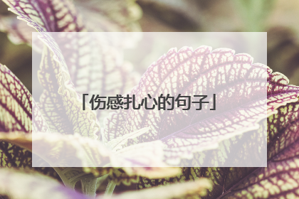 伤感扎心的句子