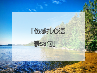 伤感扎心语录58句